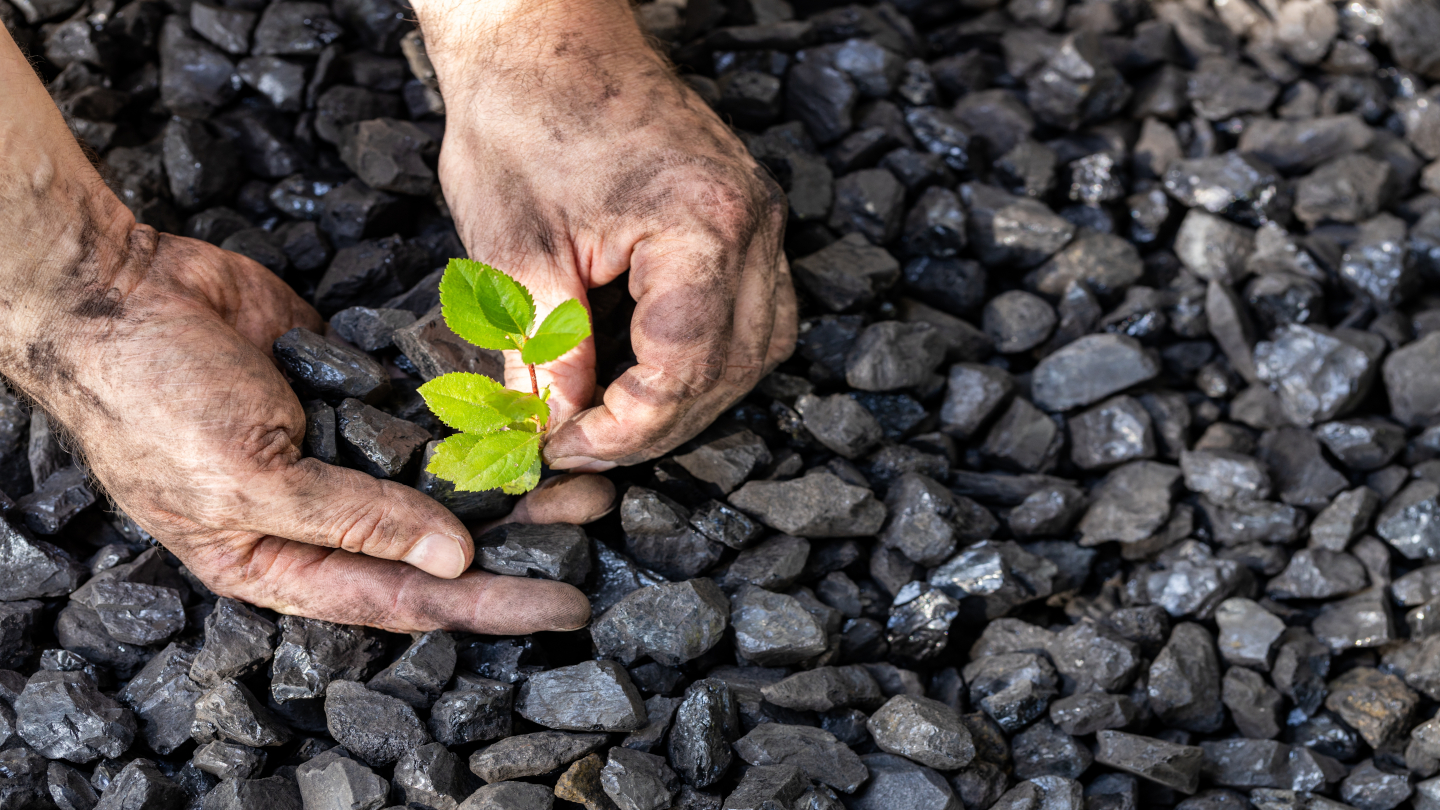 Australia's Future Made in Australia Bill 2024: Boosting Renewable Energy Investment