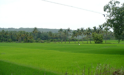 Goa rural
